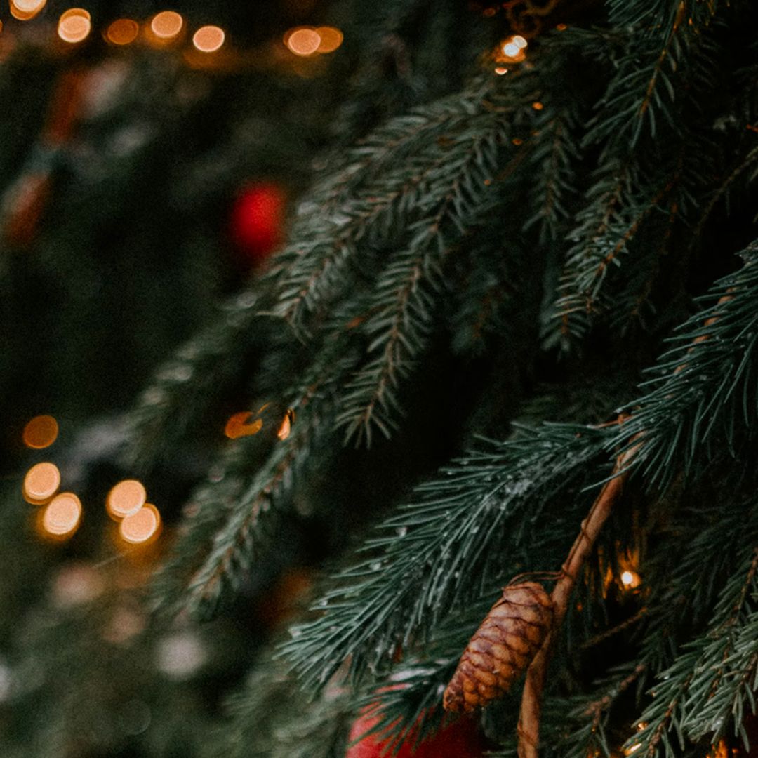 Christmas-Tree-no-text-1080x10